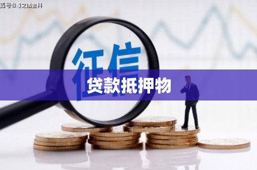 马尔康贷款抵押物