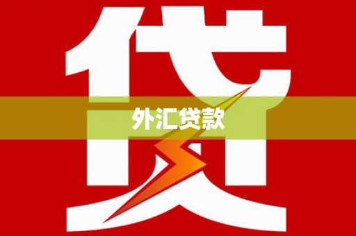 马尔康外汇贷款