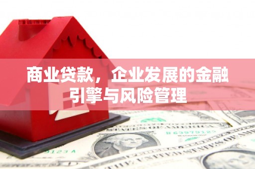 马尔康商业贷款，企业发展的金融引擎与风险管理
