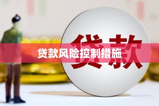 马尔康贷款风险控制措施