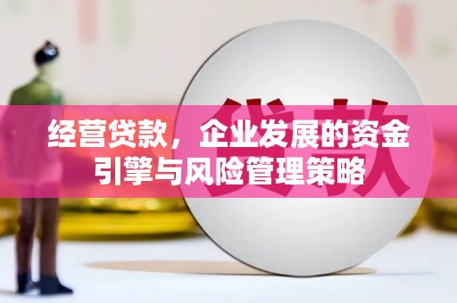 马尔康经营贷款，企业发展的资金引擎与风险管理策略