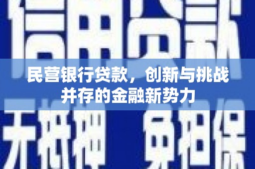 马尔康民营银行贷款，创新与挑战并存的金融新势力