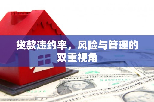 马尔康贷款违约率，风险与管理的双重视角