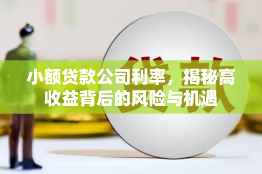 马尔康小额贷款公司利率，揭秘高收益背后的风险与机遇