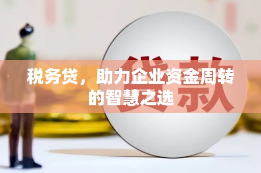 马尔康税务贷，助力企业资金周转的智慧之选