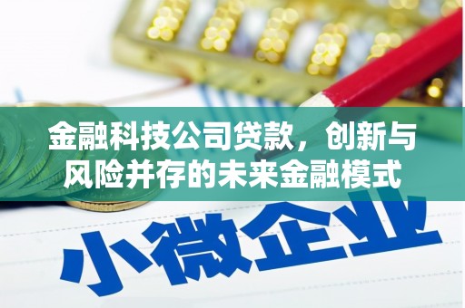 马尔康金融科技公司贷款，创新与风险并存的未来金融模式