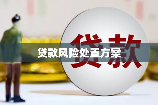 马尔康贷款风险处置方案
