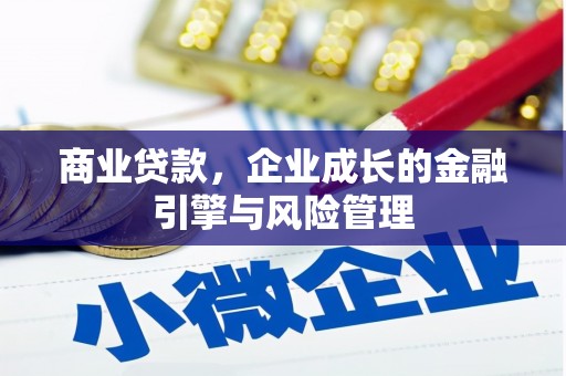 马尔康商业贷款，企业成长的金融引擎与风险管理