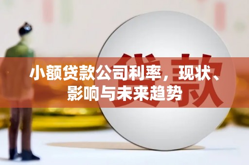 马尔康小额贷款公司利率，现状、影响与未来趋势