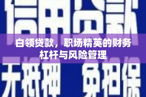 马尔康白领贷款，职场精英的财务杠杆与风险管理