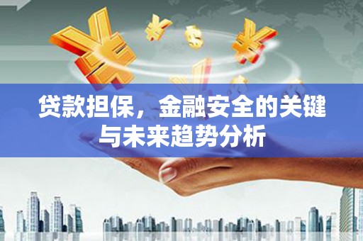 马尔康贷款担保，金融安全的关键与未来趋势分析