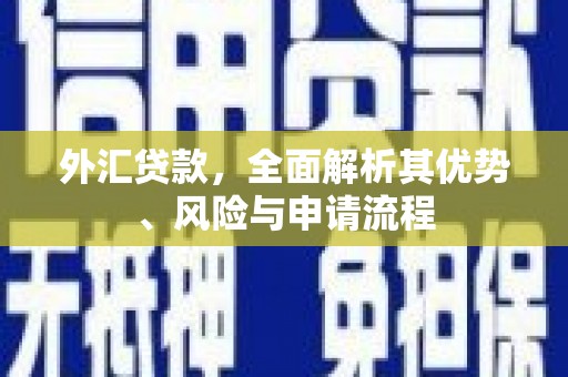 马尔康外汇贷款，全面解析其优势、风险与申请流程