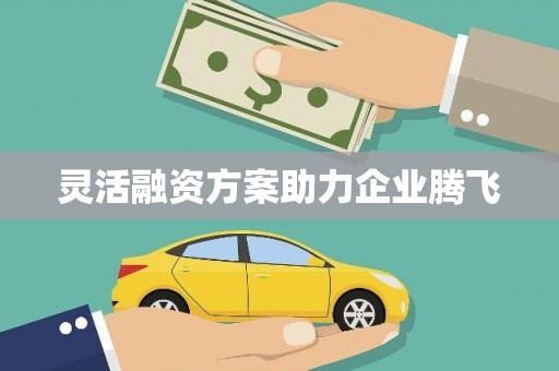 马尔康灵活融资方案助力企业腾飞