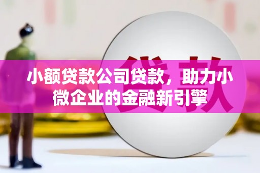 马尔康小额贷款公司贷款，助力小微企业的金融新引擎