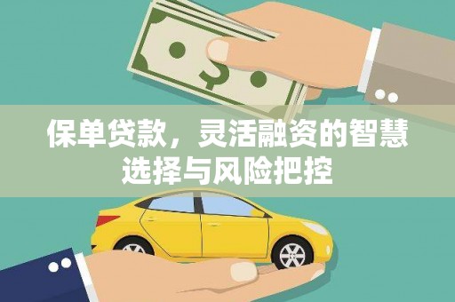 马尔康保单贷款，灵活融资的智慧选择与风险把控