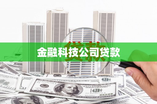 马尔康金融科技公司贷款