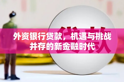 马尔康外资银行贷款，机遇与挑战并存的新金融时代