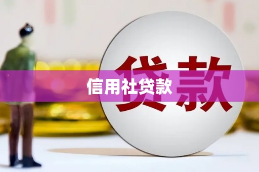 马尔康信用社贷款