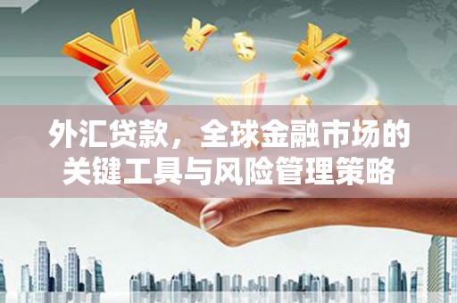 马尔康外汇贷款，全球金融市场的关键工具与风险管理策略