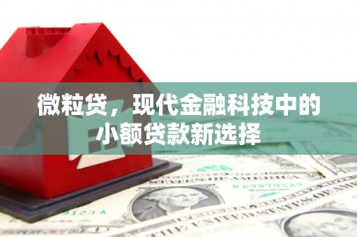 马尔康微粒贷，现代金融科技中的小额贷款新选择