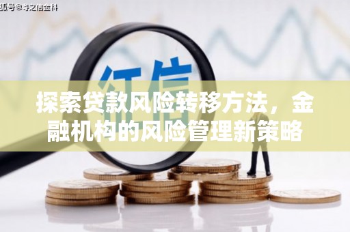 马尔康探索贷款风险转移方法，金融机构的风险管理新策略
