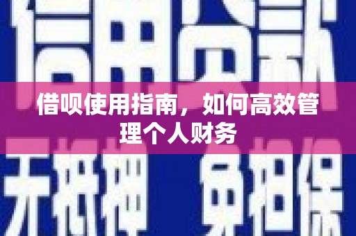马尔康借呗使用指南，如何高效管理个人财务