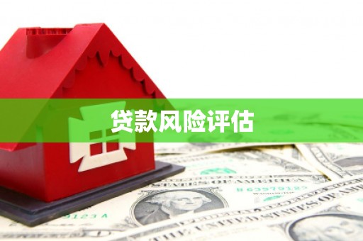 马尔康贷款风险评估