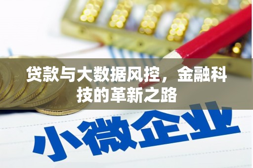 马尔康贷款与大数据风控，金融科技的革新之路