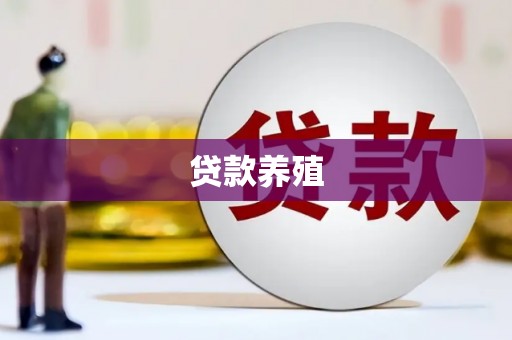马尔康贷款养殖