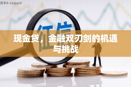 马尔康现金贷，金融双刃剑的机遇与挑战