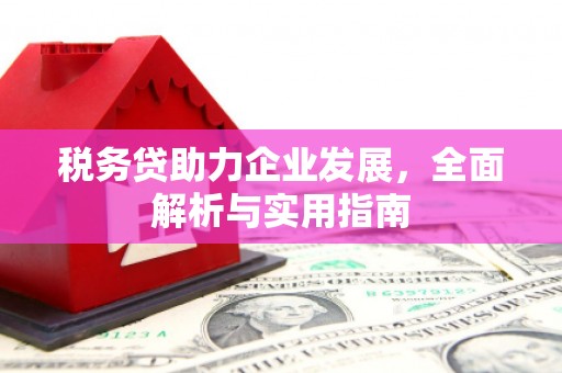 马尔康税务贷助力企业发展，全面解析与实用指南