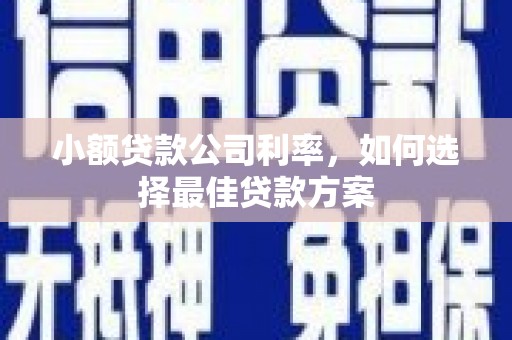 马尔康小额贷款公司利率，如何选择最佳贷款方案