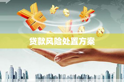 马尔康贷款风险处置方案