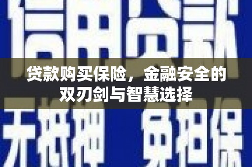 马尔康贷款购买保险，金融安全的双刃剑与智慧选择