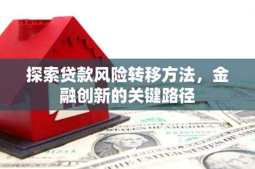 马尔康探索贷款风险转移方法，金融创新的关键路径