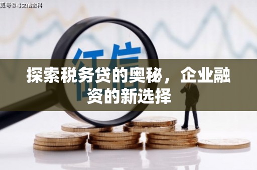 马尔康探索税务贷的奥秘，企业融资的新选择