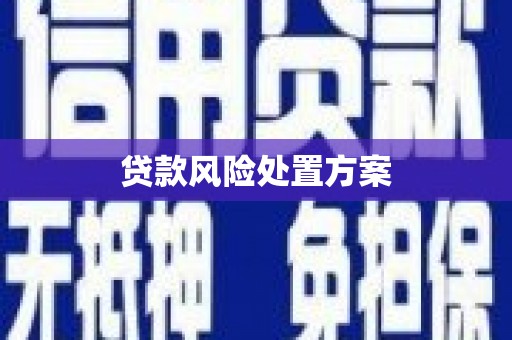 马尔康贷款风险处置方案