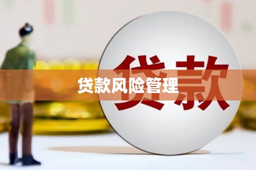 马尔康贷款风险管理
