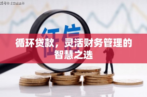 马尔康循环贷款，灵活财务管理的智慧之选