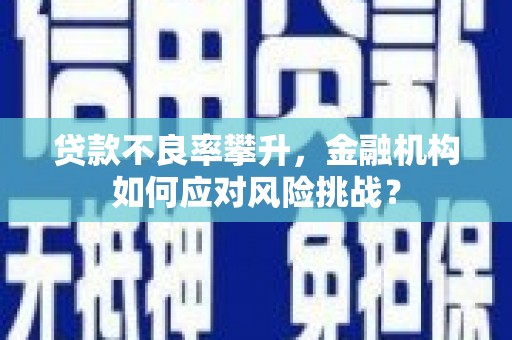 马尔康贷款不良率攀升，金融机构如何应对风险挑战？