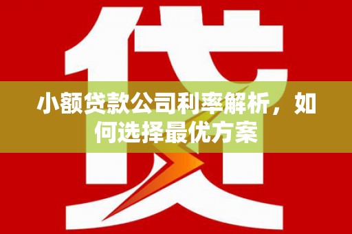 马尔康小额贷款公司利率解析，如何选择最优方案