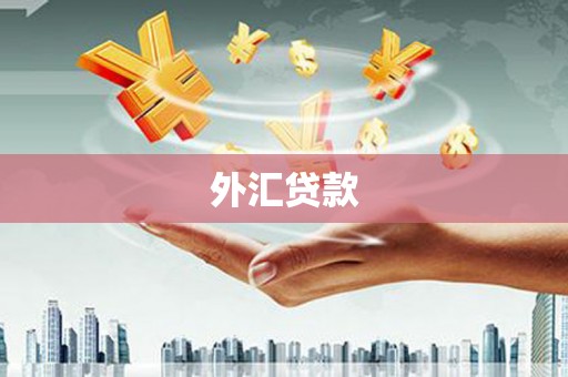 马尔康外汇贷款