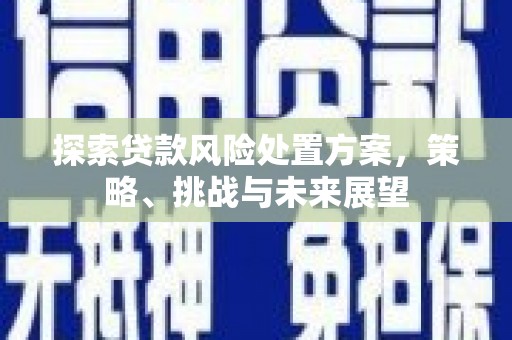 马尔康探索贷款风险处置方案，策略、挑战与未来展望
