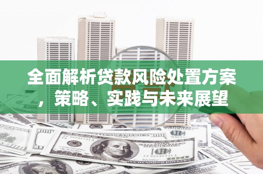 马尔康全面解析贷款风险处置方案，策略、实践与未来展望