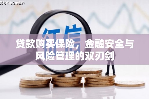 马尔康贷款购买保险，金融安全与风险管理的双刃剑