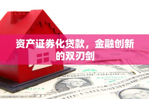 马尔康资产证券化贷款，金融创新的双刃剑