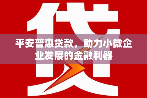 马尔康平安普惠贷款，助力小微企业发展的金融利器
