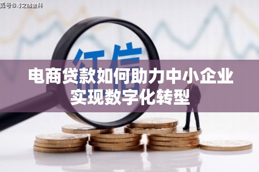 马尔康电商贷款如何助力中小企业实现数字化转型