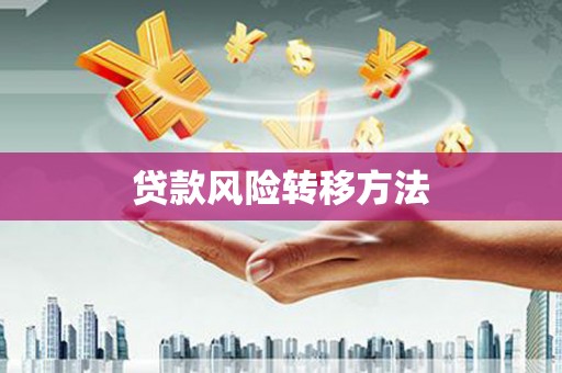 马尔康贷款风险转移方法