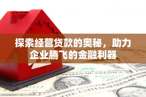 马尔康探索经营贷款的奥秘，助力企业腾飞的金融利器